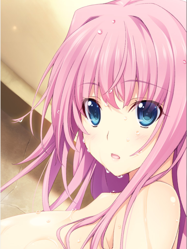 圣骑士：Melty☆Lovers