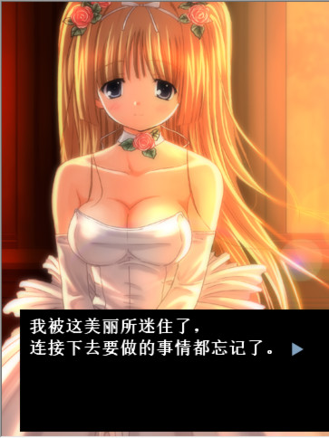 MEMORIES ～将记忆的全部…～