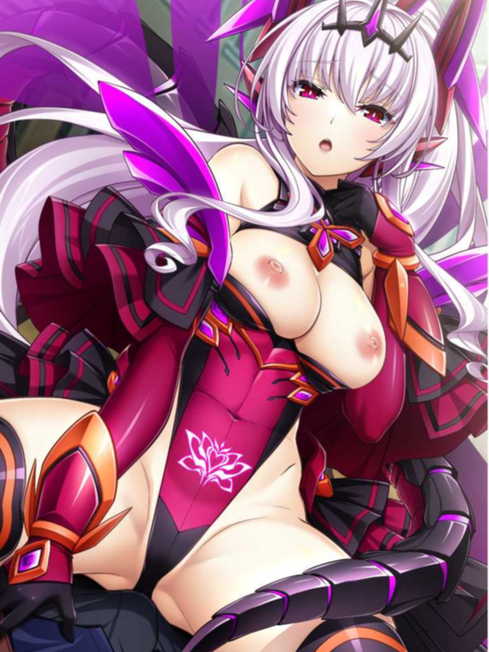 光之翼战姬艾克斯蒂娅 R ～红之女王～