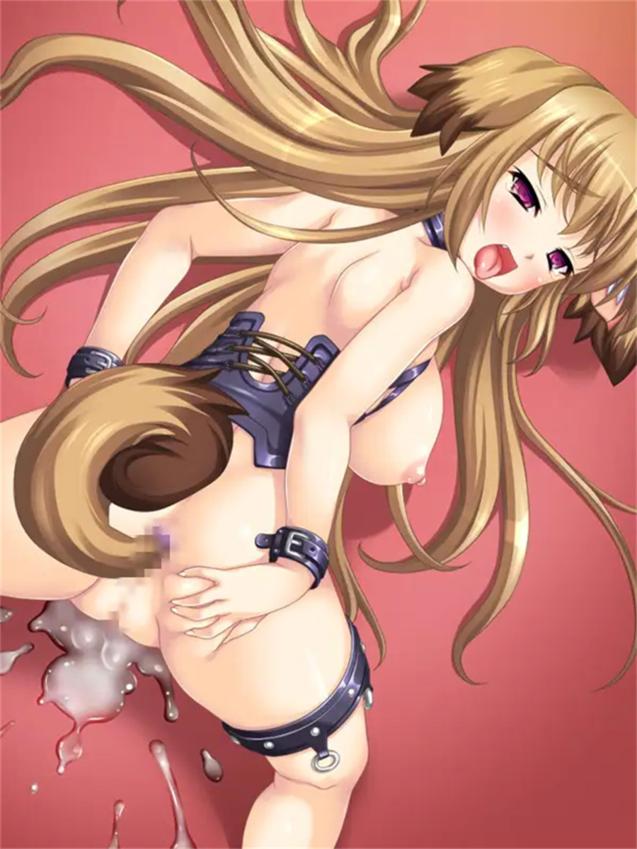 NDNL2 -无狗不欢-