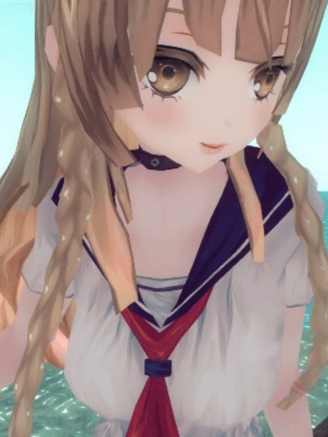 三国梦想：王元姬无惨