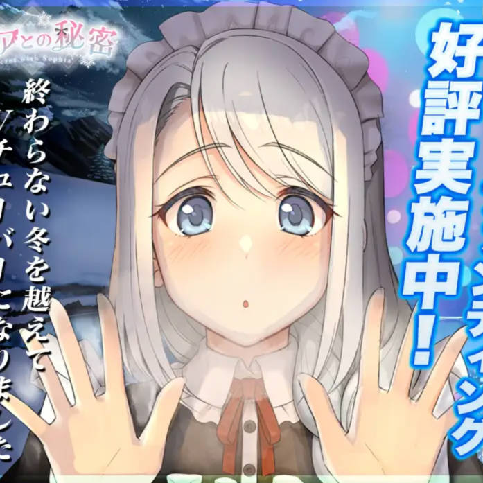 与索菲亚的秘密