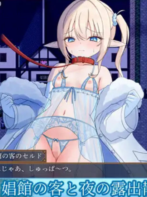 日式RPG/新作/双端丨艾尔涅的初次使命 艾尔涅的初次差遣 エルネのはじめての御使い +全回想存档 【20260224】