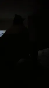 我的大屁股熟女