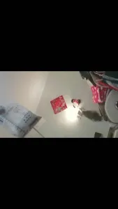 丹夫人系列之挑战尿道调教  2