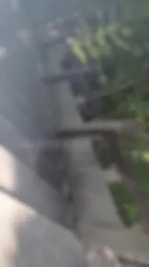 [原创] 落地窗人妻和我东方文化园野战偷情放尿