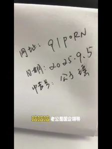 无套内射国企母狗后续