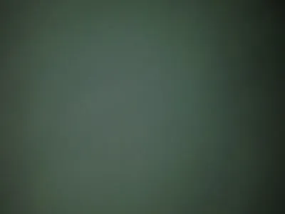 潍坊市区女服务员