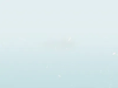 首战91---丁字裤丰臀少妇