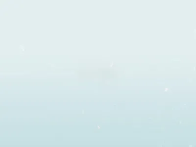 在上海的女生加我