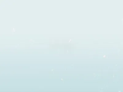 欲望济南寻觅篇