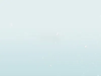 武汉炮团团员反馈第三季