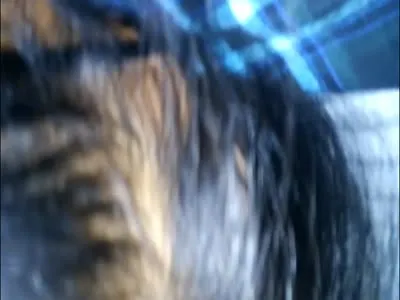 淄博出租车上口交，超刺激