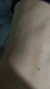 最新后入 女主联系方式看减借