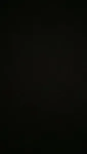 后入大屁股00后