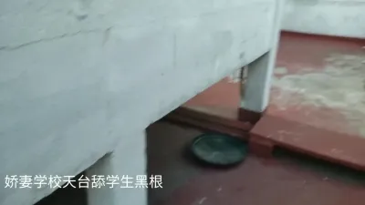 外教老师舔巨根