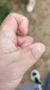 原创露脸！和熟女爬山 她要小便 忍不住把她艹了！边上还有人！申精！