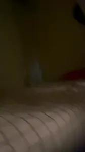 酒吧约上的00后小妹妹