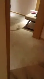 满足我曾经所有幻想的爱妻