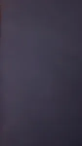 99年蜜桃臀女友激情叫床大屁股一颤一颤的