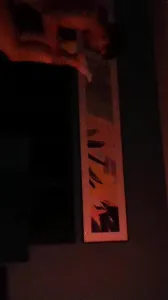 深圳小母狗哀求插入