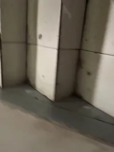 中山市离异少妇