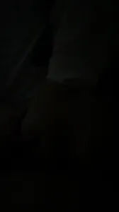 听话小狗可以被爱