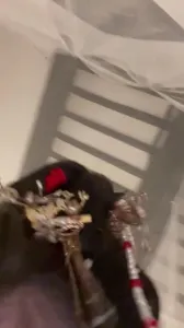 汉服母狗上位都被顶高潮了