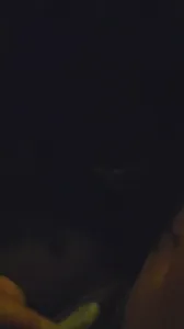 接“母狗”路灯下口交