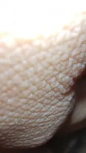 插了平时不能插的菊花，还射里面了