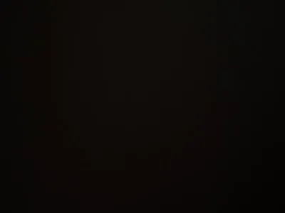 新年第一炮2高级妹子