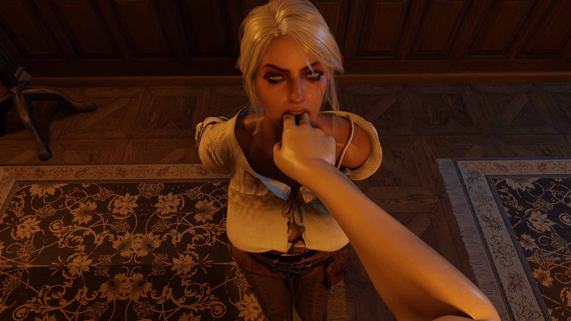 猎魔人：希里调教计划（Witcher 4 Ciri Training）v0.17 精翻汉化