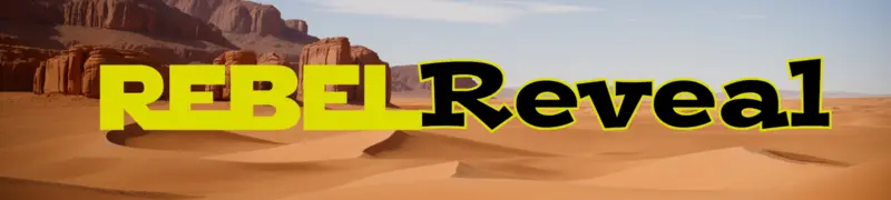 叛逆揭秘：伴侣答题（Rebel Reveal）Final 精翻汉化