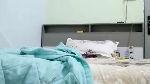 28848990_专探良家_20251002_200918