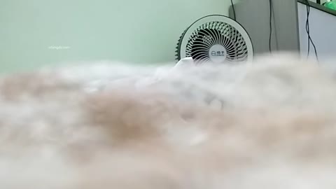 28848990_专探良家_20251003_000023